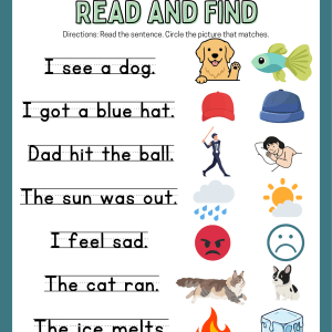 Bloomzi Bundle Phonics